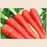 fresho! Carrot - Orange, 500 g