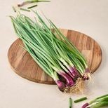 5 mins fresho! Spring Onion - With roots, 1 pc (Approx. 100 g)
