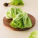 fresho! Lettuce - Iceberg, 1 pc (Approx. 250g-500g)