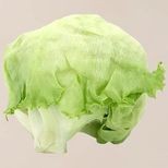 fresho! Lettuce Iceberg - Organically Grown, 1 pc