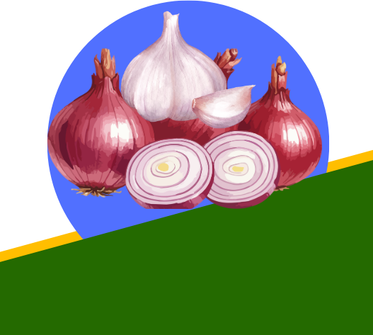 Bulb Vegetables