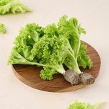 fresho! Romaine Lettuce - Hydroponically Grown With Live Roots, 1 pc (Approx 125 - 200 g)