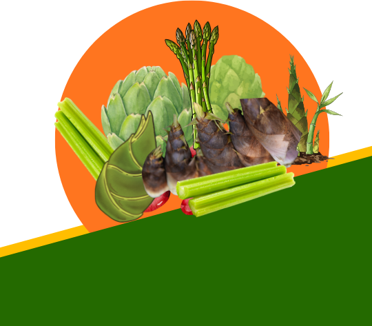Stem Vegetables