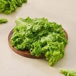 fresho! 5 mins fresho! Green Coral Lettuce - Hydroponically Grown With Live Roots, 1 pc (Approx 125 - 200 g)