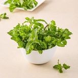 fresho! Mint - Organically Grown, 100 g
