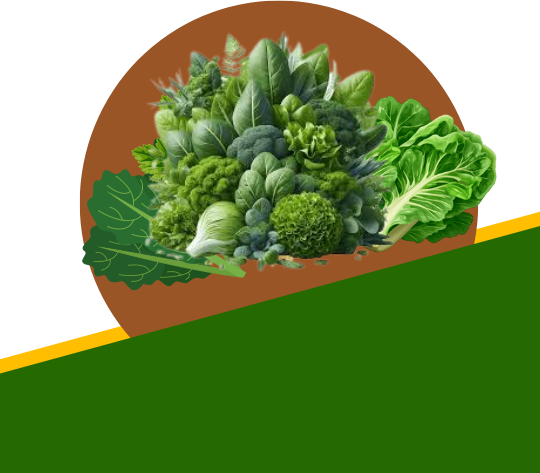 Leafy Vegetables