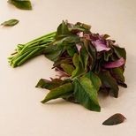 fresho! Baby Spinach - Hydroponically Grown, 100 g